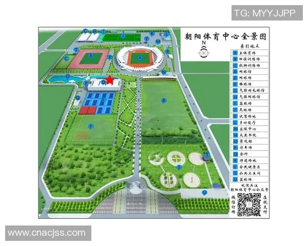 杭州网球队的拼搏历程与荣耀时刻全景回顾