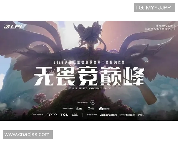 赛后分析：IG与BLG团队协作的成功与不足之处探讨