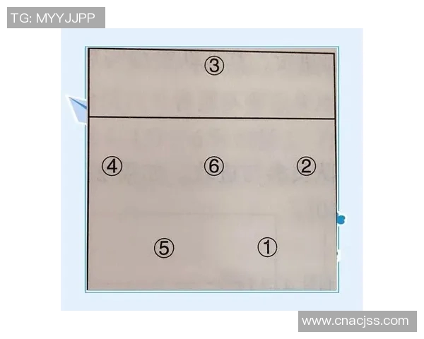上海排球队的运营揭秘：深度解析排球背后的故事与策略